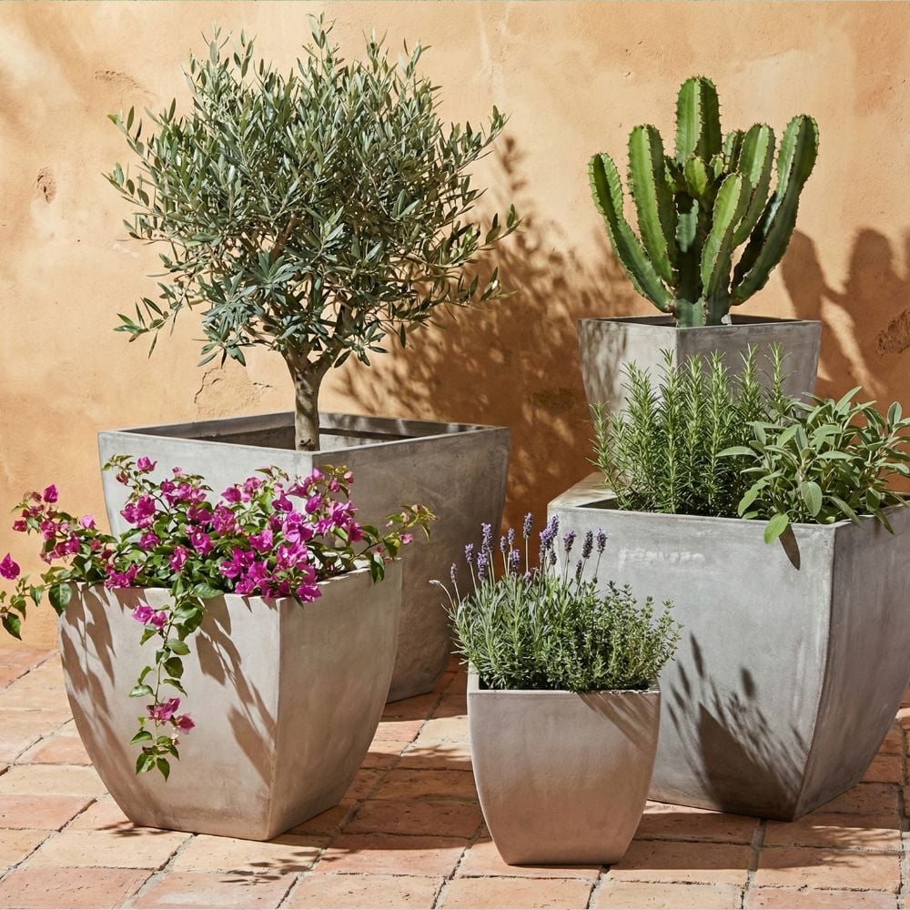 Acc&eacute;der aux pots et jardini&egrave;res